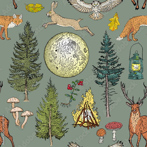 Forest adventure magic seamless pattern: bonfire, camping lamp, full moon, spruce, fir tree, mushrooms, fox, hare, deer, owl, berries. Spirits of the northern woods.