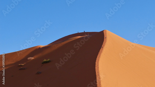 People ascending a giant wind shaped sand dune in Erg Chebbi near Merzouga  Morocco  Africa on sunny day with blue sky.