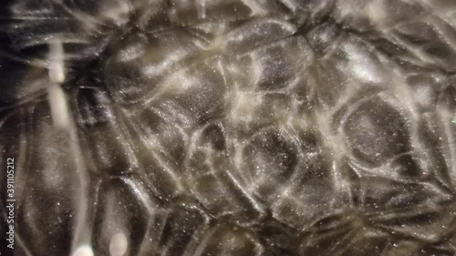 Black and white shimmery hot wax 