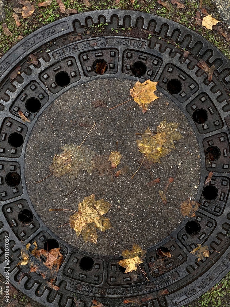 iron hatch with autumn leaves top view