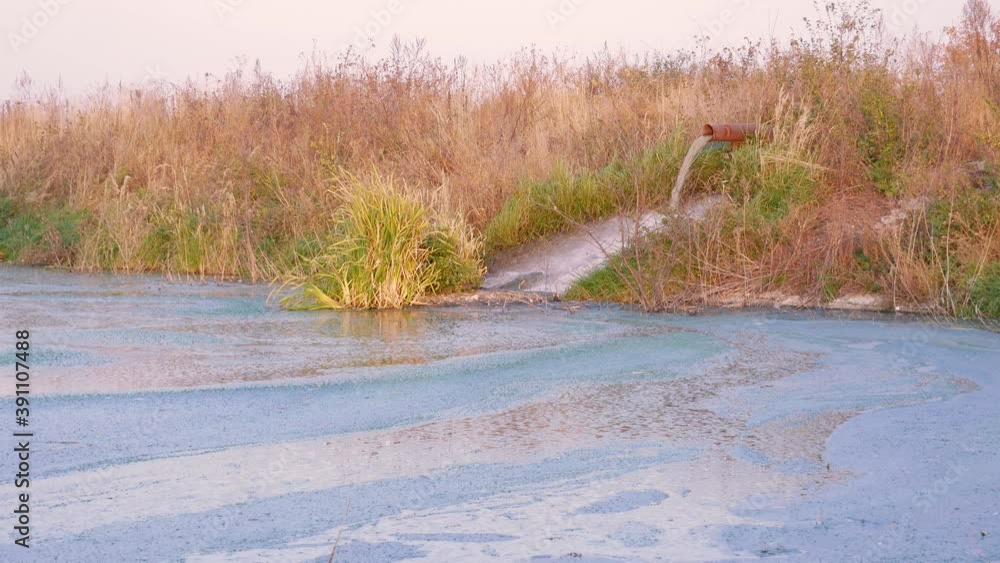 Waste water flowing in a powerful stream from a rusty pipe into the river. Thick dry brown grass around Waste water flowing in a powerful stream from a rusty pipe into the river. Thick dry brown grass around