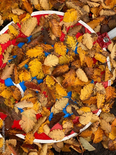 road sign covered with leaves photo