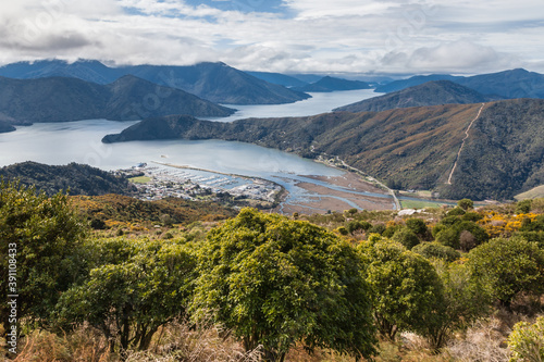 aerial view of Havelock town with Pelorus Sound in Marlborough Sounds, South Island, New Zealand photo