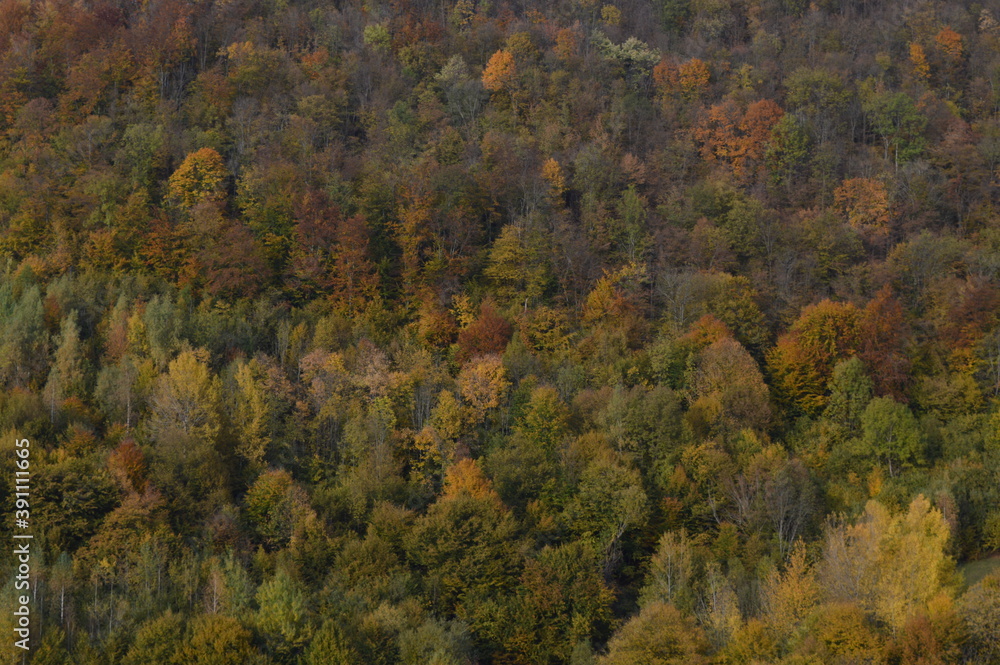 autumn in the mountains