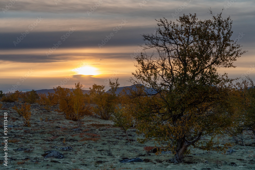 Fototapeta premium Autumn in Dørålen, Rondane, Norway