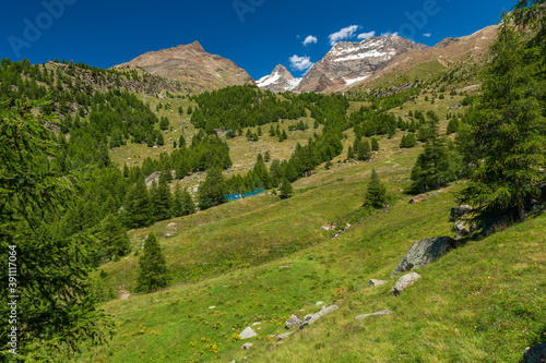 Picturesque green meadows, rocks and boulders, larches and trees above Triftalp, Kreuzboden cablecar, covered with snow Jegihorn, Fletschhorn, Lagginhorn mountain peaks, on the background. Switzerland photo
