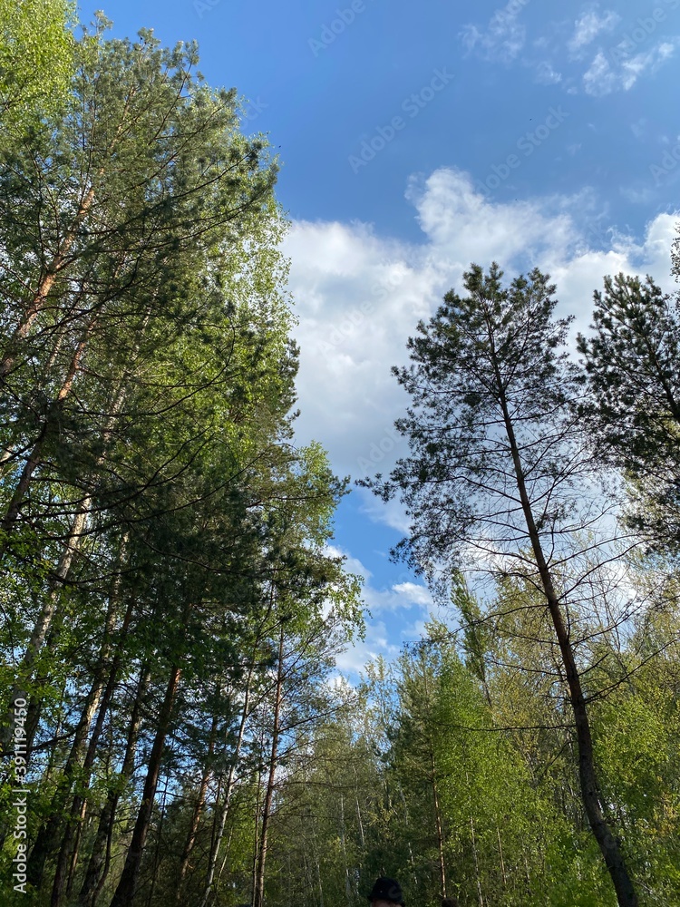 Fototapeta premium Love