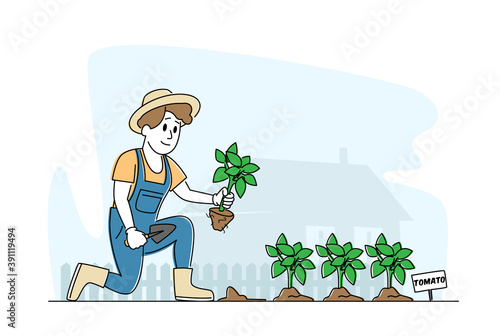 Woman Farmer or Cottager Character Working in Garden Digging Soil and Planting Tomato Sprouts to Ground, Care of Plants