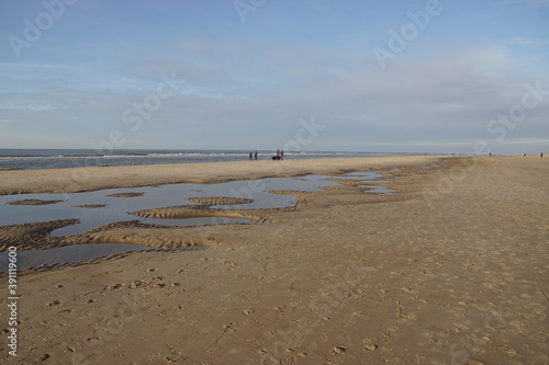 People with dogs walk on the beach with a wave pattern in the sand near the Dutch village of Bergen aan Zee. Netherlands, November.