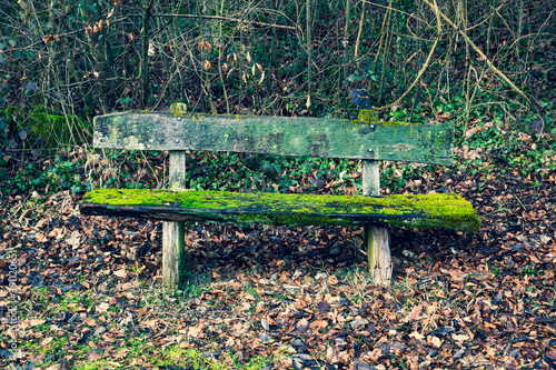 old wooden bench covered with moss