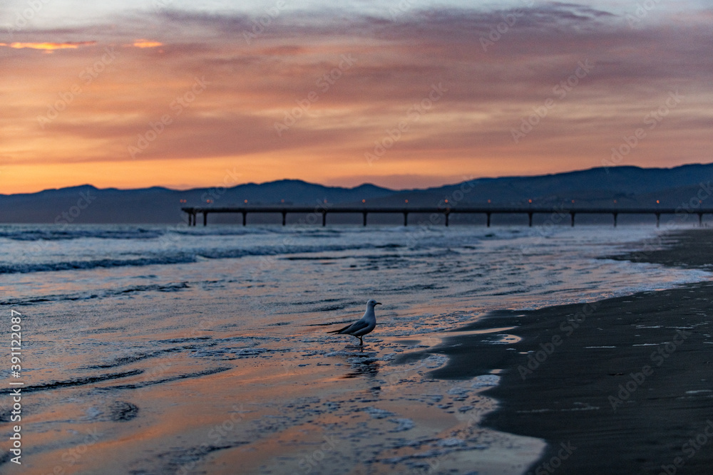 Naklejka premium Sunset at the coast with a pier in New Zealand