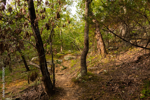 Hiking Trail