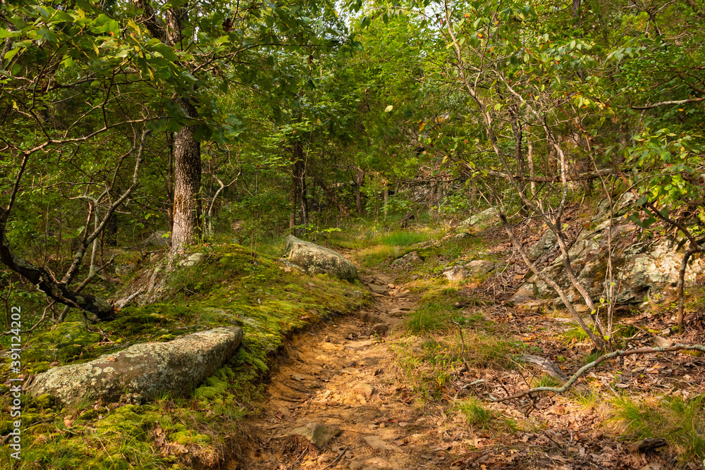 Hiking Trail Hiking Trail