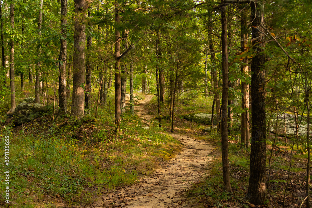 Fototapeta premium Hiking Trail