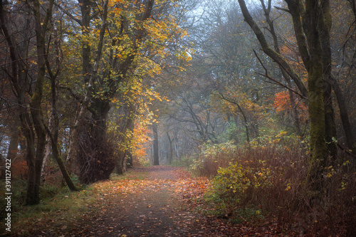 Autumn footpath in the park. Polkemmet Country Park  West Lothian  Scotland.