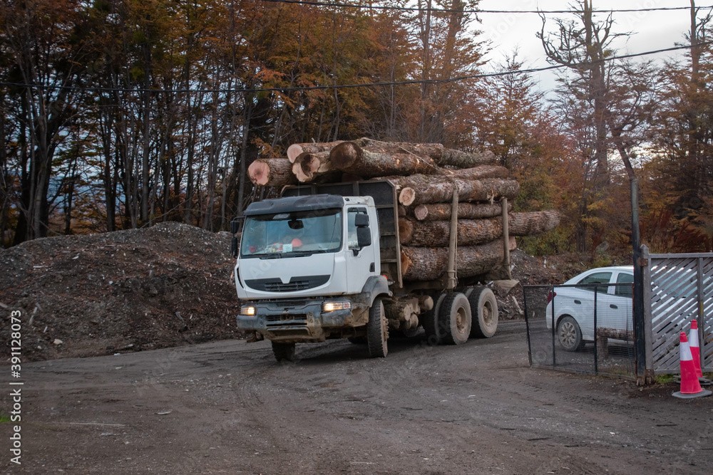 Camion de carga transportando madera