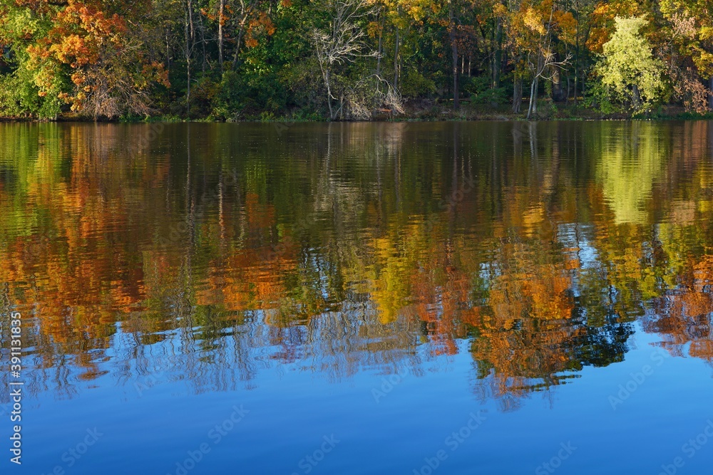 Colorful autumn foliage reflecting in the water in New Jersey, United States Colorful autumn foliage reflecting in the water in New Jersey, United States