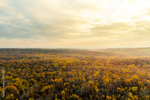 Autumn forest aerial drone view On the Sunset. Fall forest landscape view from above. Colorful nature background.