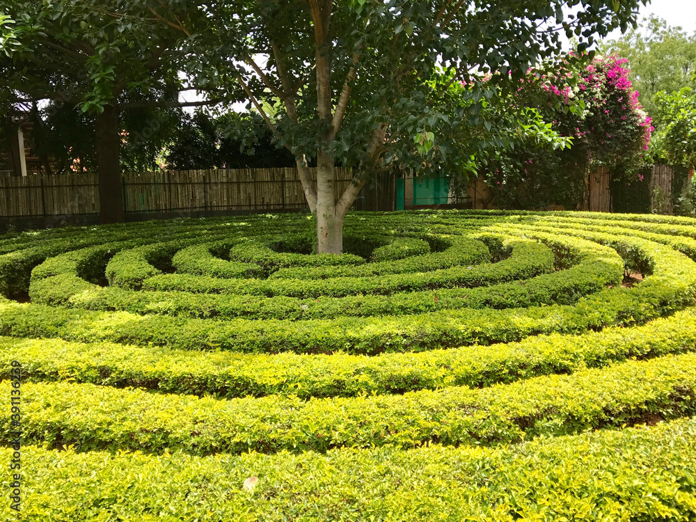 maze in the park maze in the park