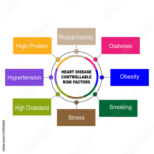 Diagram of Heart Disease Controllable Risk Factors with keywords. EPS 10 - isolated on white background