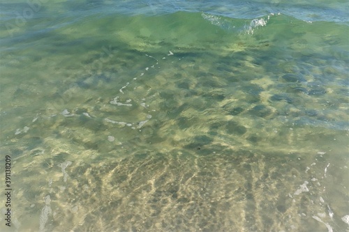 Small green waves near the shore of the ocean, the bottom is clearly visible through the clear water, close shooting