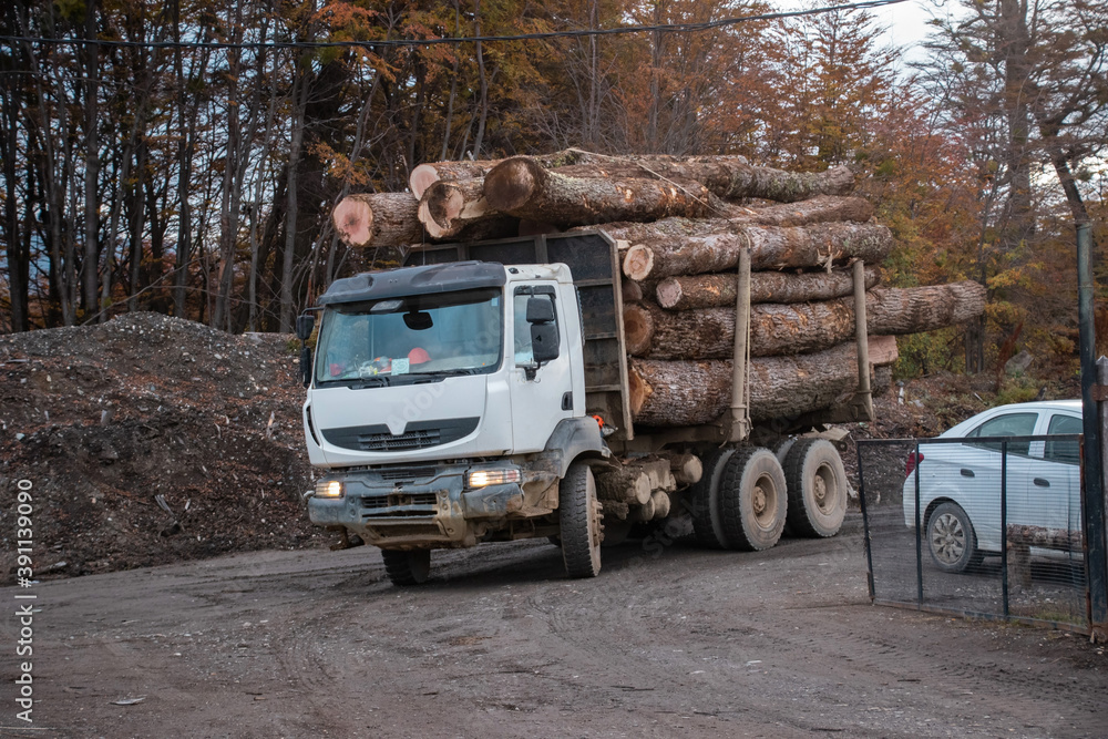 Camion de carga transportando madera