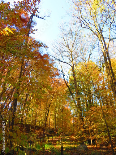 walking through shenandoah park at sunset