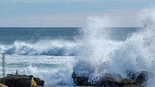 Prouts Neck 3