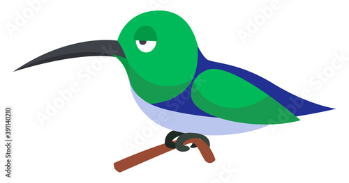 Bored colibri,illustration,vector on white background