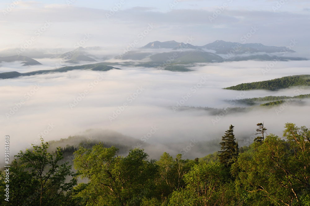 Obraz premium 銀泉台の雲海(北海道・大雪山)