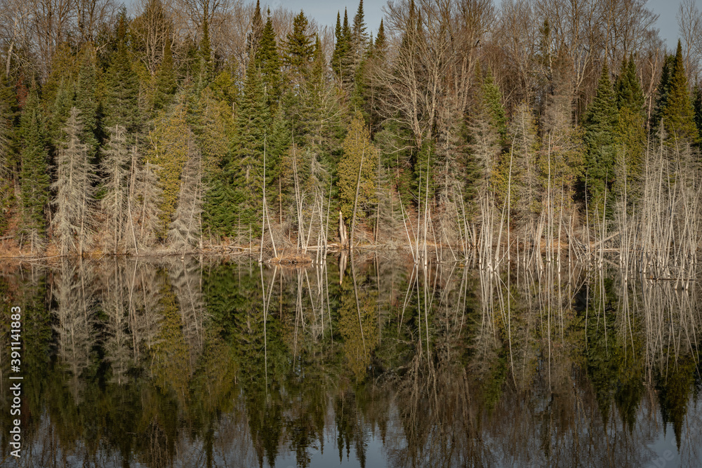 Late Fall lake reflection landscape