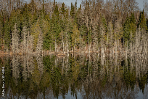 Late Fall lake reflection landscape