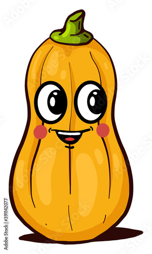Happy butternut squash ,illustration,vector on white background