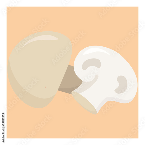 Two mushrooms ,illustration,vector on white background