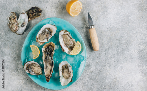Fresh oysters in a blue plate with ice and lemon on a concrete background.