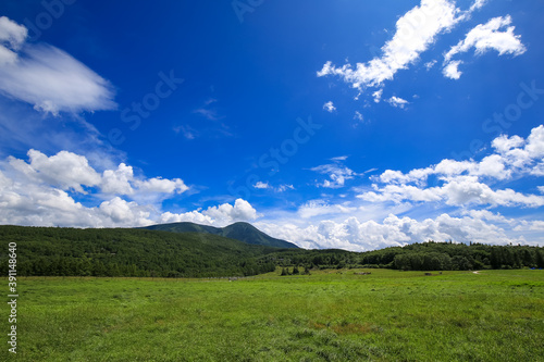 夏の蓼科山