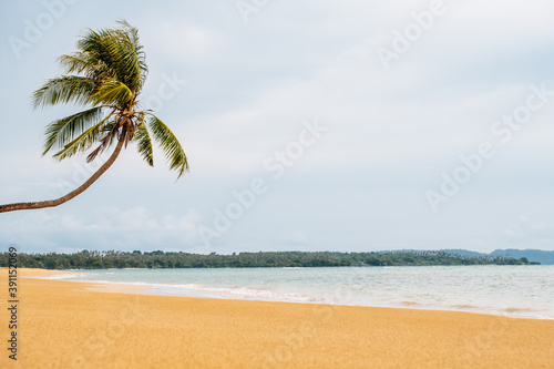 Beautiful beach. View of nice tropical beach with palms. 