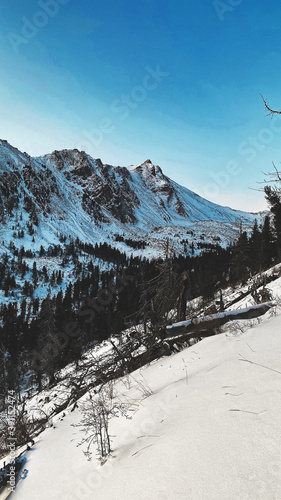 snow covered mountains