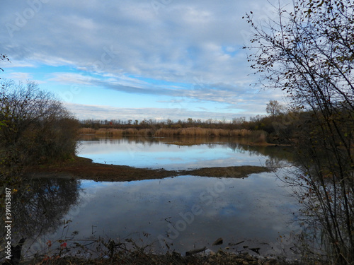 Blue sky with clouds are reflected in the calm pond water on a crisp late autumn day with bare, leafless tree branches framing the image as well as in the background