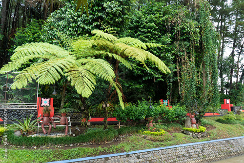 Mount Tidar is one of the largest mountains in Magelang, with a beautiful garden photo