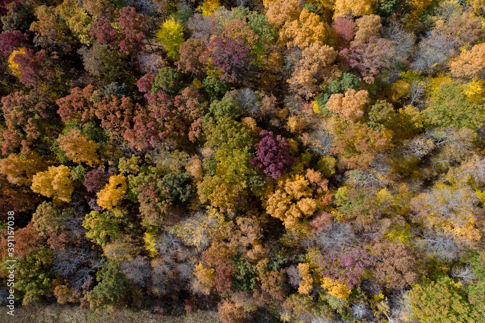 Aerial Drone Photo Looking Down on an Autumn Forest with Multi Colored Fall Trees in the Midwest_16 Aerial Drone Photo Looking Down on an Autumn Forest with Multi Colored Fall Trees in the Midwest_16
