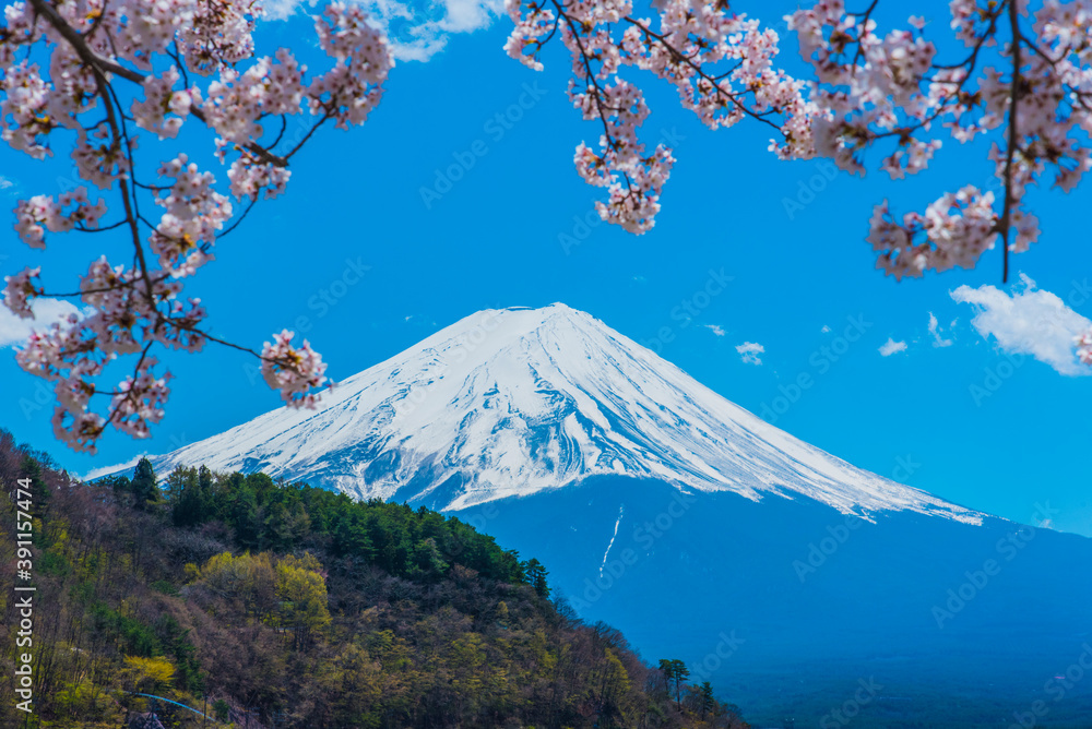 桜と富士山と河口湖