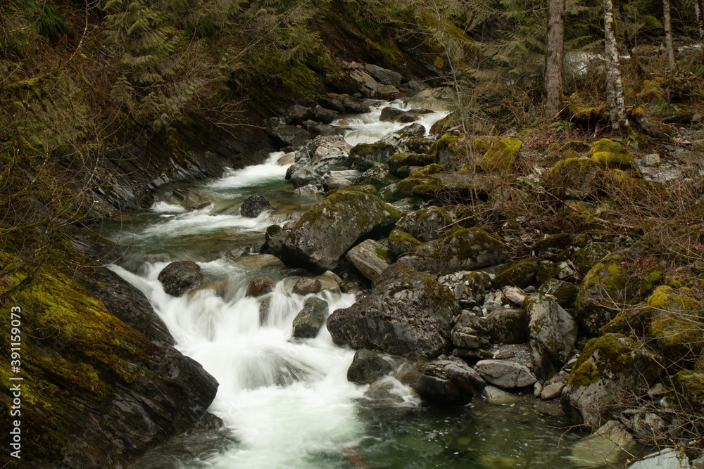 Stream in the Woods
