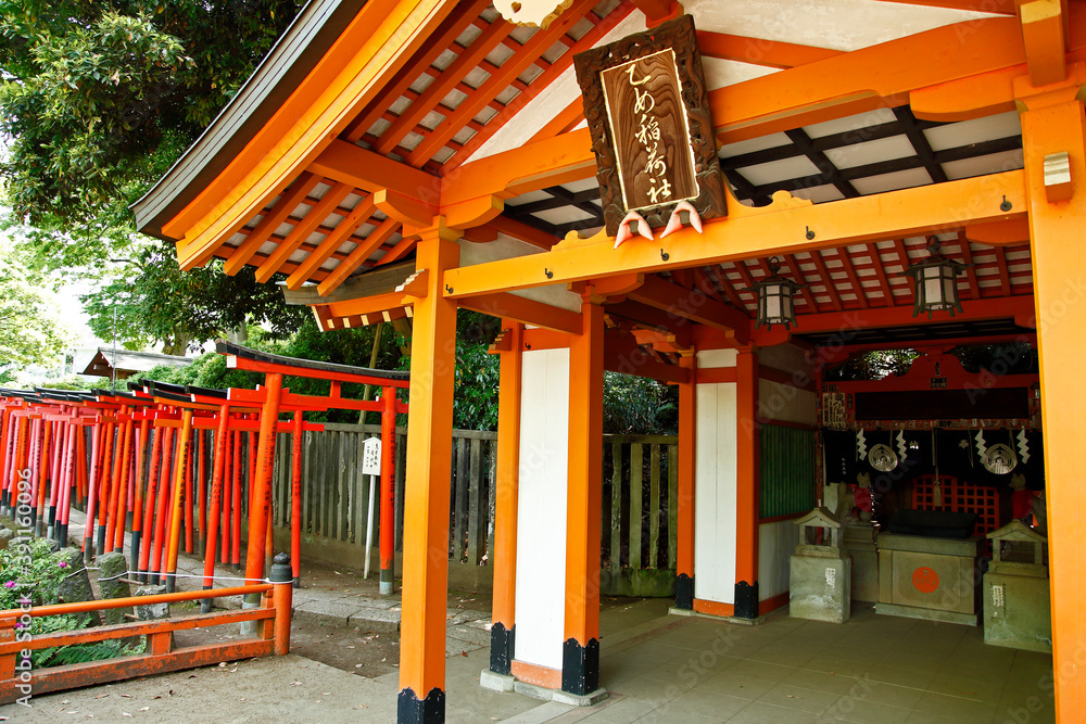 乙女稲荷神社(拝殿:根津) 乙女稲荷神社(拝殿:根津)
