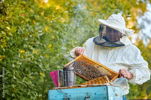 adult caucasian farmer man tending his bee hives with bee smoker on his private farm with homemade bee boxes, wearing protective uniform