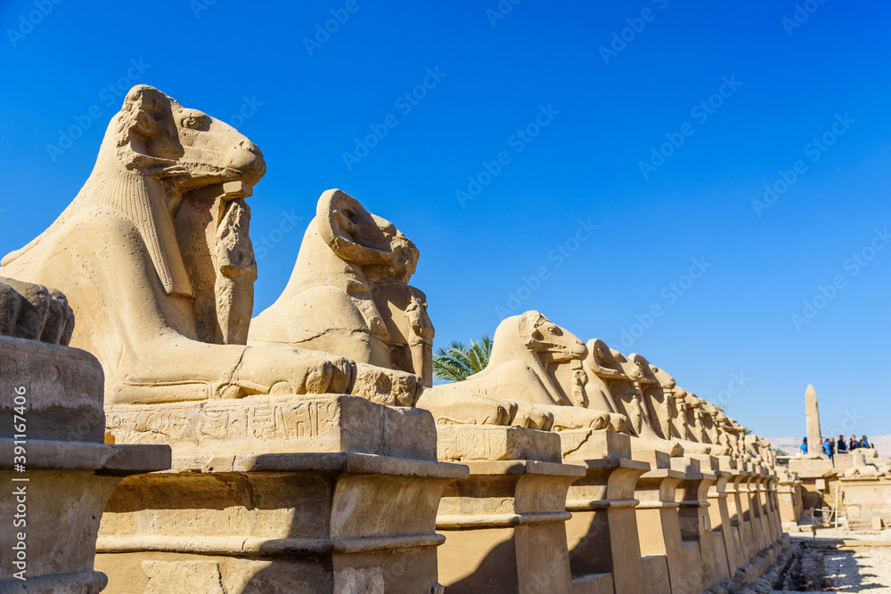 Avenue of the ram-headed Sphinxes in a Karnak Temple. Luxor, Egypt