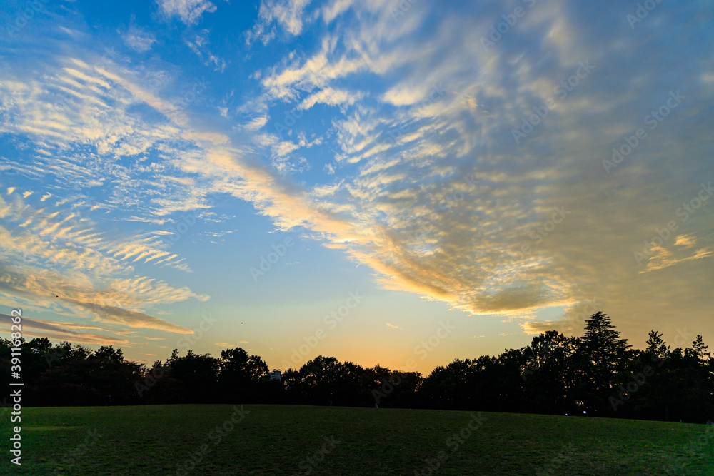 公園から見える夕日が美しい秋の空 公園から見える夕日が美しい秋の空
