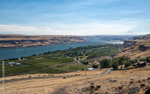 Maryhill, Washington on the Columbia River has a vineyard and winery along the Sherman Highway by the Sam Hill Memorial Bridge photo