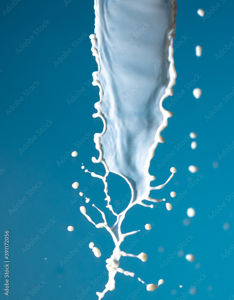 Splashes of white milk isolated on a blue background.