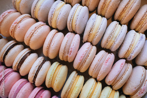 Colored macaroons. Sweet dessert cake for the whole family. Set with different flavors